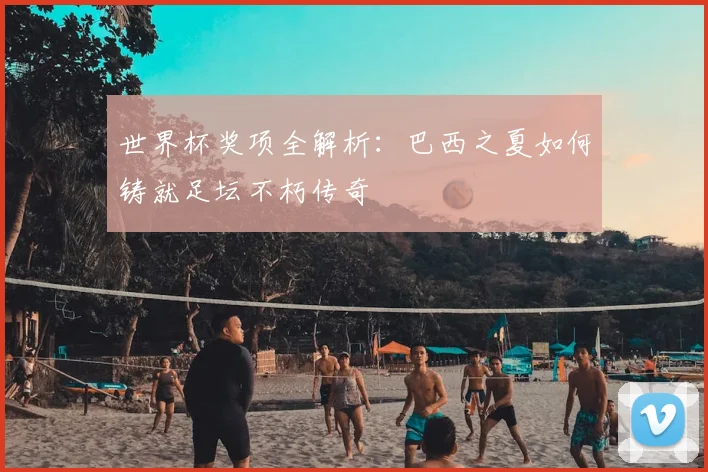 世界杯奖项全解析：巴西之夏如何铸就足坛不朽传奇