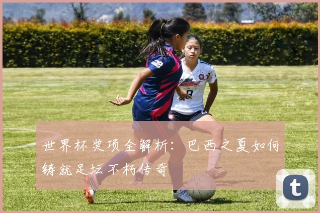 世界杯奖项全解析：巴西之夏如何铸就足坛不朽传奇