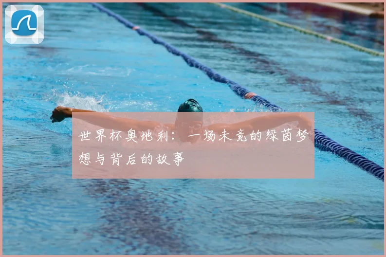 世界杯奥地利：一场未竟的绿茵梦想与背后的故事