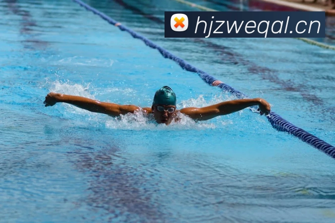 星空网页版平台生态图